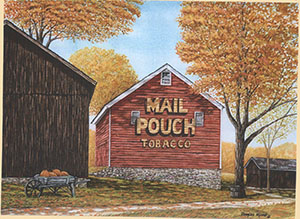 Mail Pouch Fall